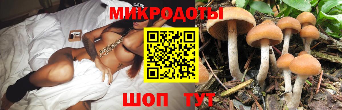 Большой Камень  Псилоцибиновые грибы ЛСД  Вход с VPN 