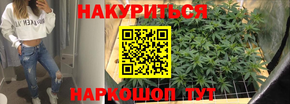Каннабис конопля Большой Камень